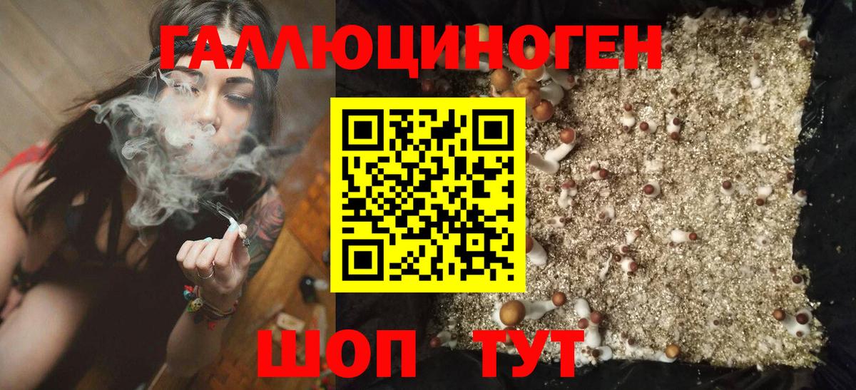 Псилоцибиновые грибы Cubensis Лабинск