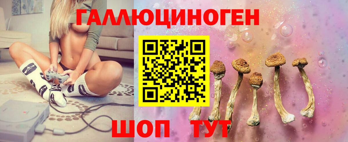 Лабинск  Галлюциногенные грибы мицелий  Вход с VPN 